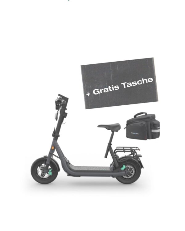 Egret GTs – 45 km/h