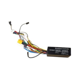 Controller (A) 52V- FIGHTER MINI